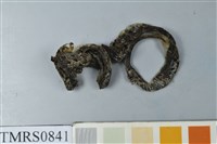 藏品(菊池氏龜殼花)的圖片